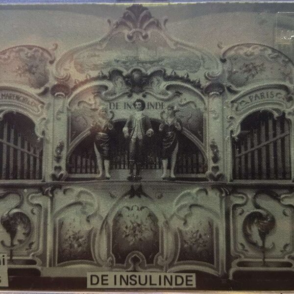 De insulinde